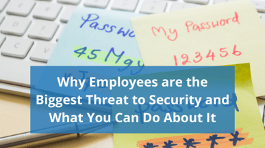 Why Employees are the Biggest Threat to Security... and What You Can Do About It